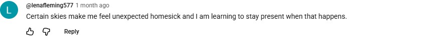YouTube comment by @lenafleming577