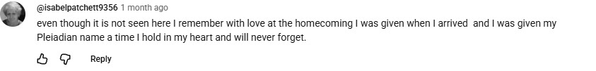 YouTube comment by @isabelpatchett9356