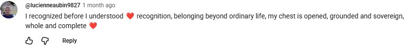 YouTube comment by @lucienneaubin9827
